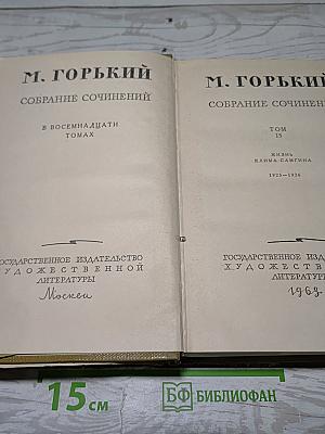 Собрание сочинений. Том 15. Жизнь Клима Самгина