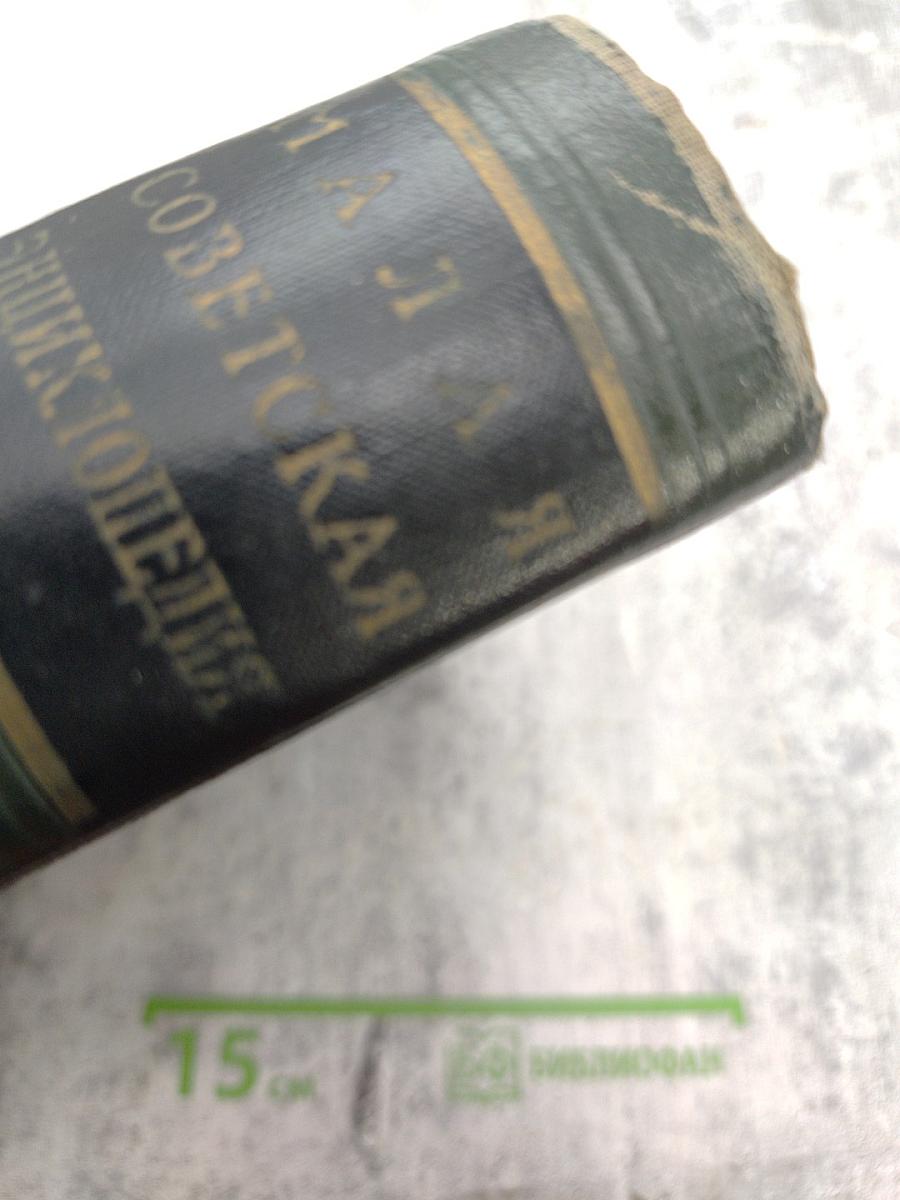 Малая Советская Энциклопедия, Том 10: Хайхэ — Я