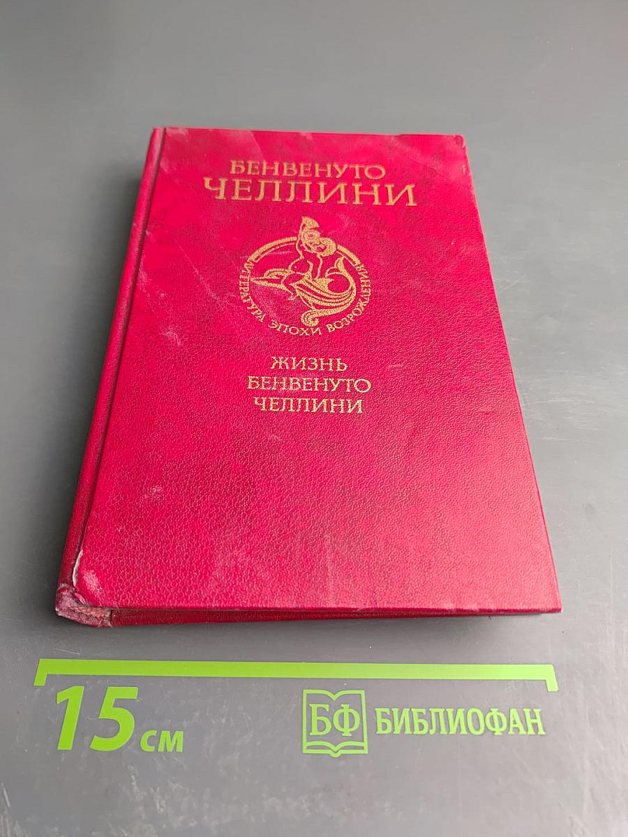 Жизнь Бенвенуто, сына маэстро Джованни Челлини, флорентинца, написанная им самим во Флоренции