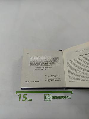 Петербургский мираж: Час пик