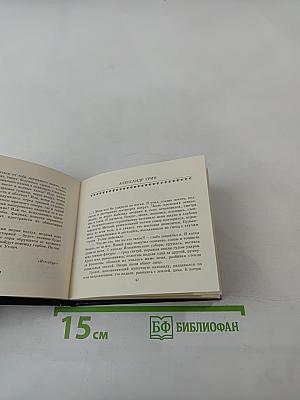 Петербургский мираж: Час пик