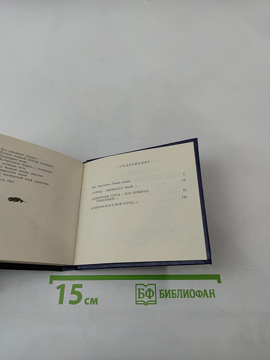 Петербургский мираж: Час пик