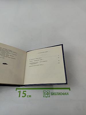 Петербургский мираж: Час пик