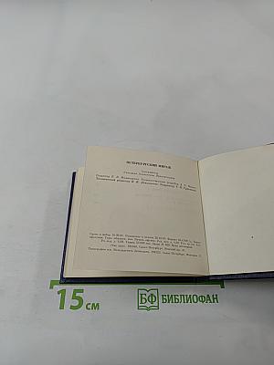 Петербургский мираж: Час пик