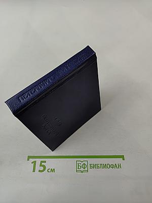 Петербургский мираж: Час пик