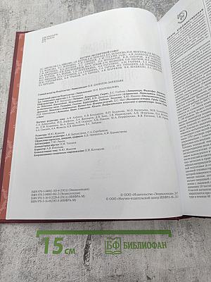 Новая Российская Энциклопедия. Том XIX (1). Эмаль – Япет