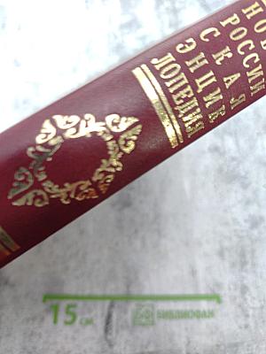 Новая Российская Энциклопедия. Том XIX (1). Эмаль – Япет