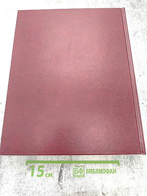 Новая Российская энциклопедия. Том XIX (1). Эмаль – Япет