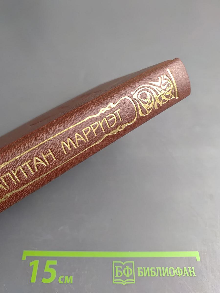 Морской офицер Фрэнк Мильдмей