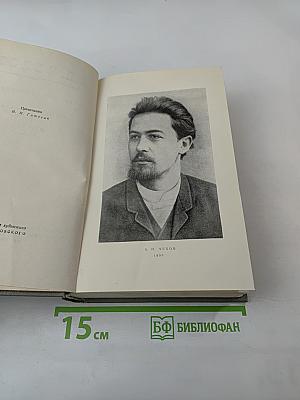 Собрание сочинений. Том одиннадцатый. Письма 1877-1892