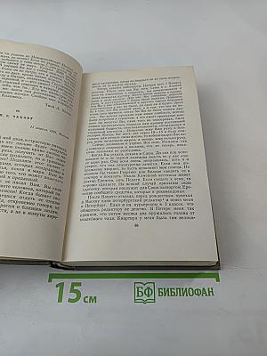 Собрание сочинений. Том одиннадцатый. Письма 1877-1892