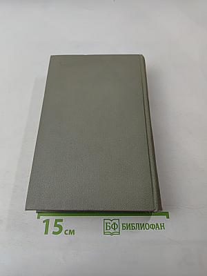 Собрание сочинений. Том одиннадцатый. Письма 1877-1892