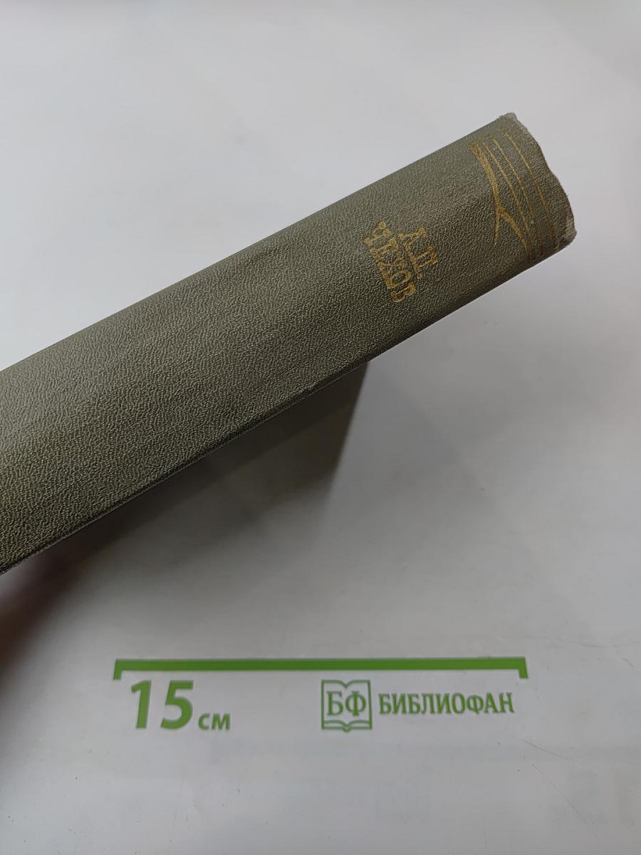 Собрание сочинений. Том одиннадцатый. Письма 1877-1892