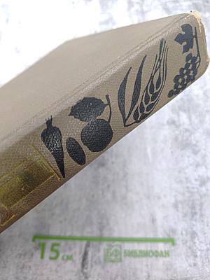 Детская энциклопедия. Том 3