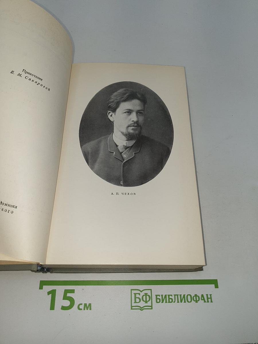 Собрание сочинений. Том 5: Рассказы 1887