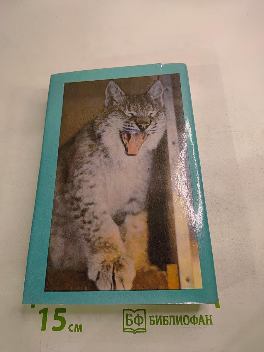 Домашние животные. Малая энциклопедия