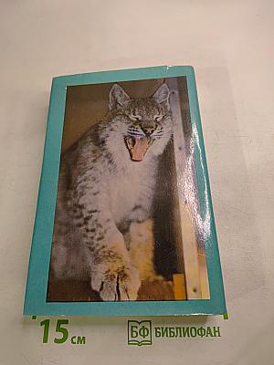 Домашние животные. Малая энциклопедия