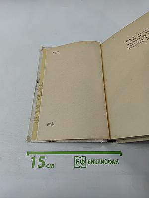 Прекрасные заботы юности