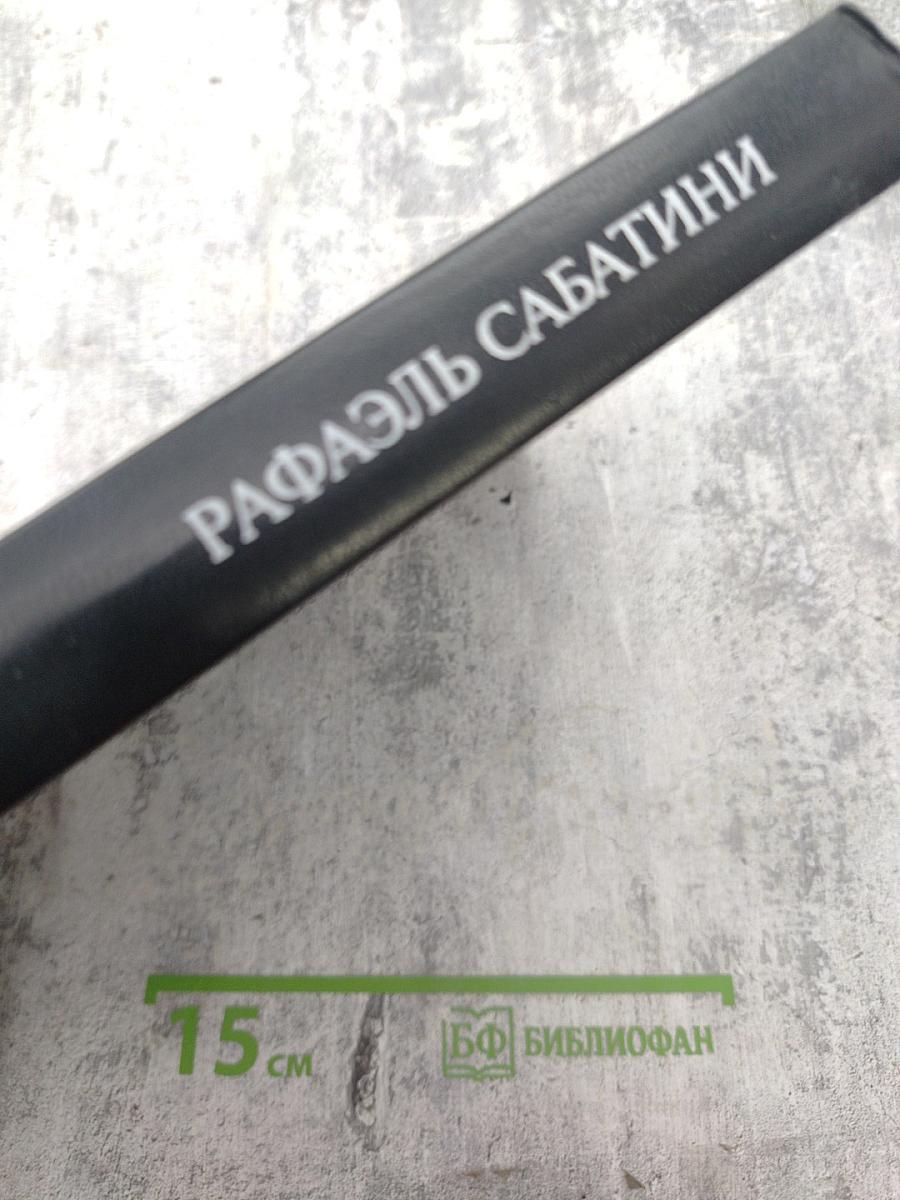 Собрание сочинений. Том шестой: Псы Господни. Меч Ислама