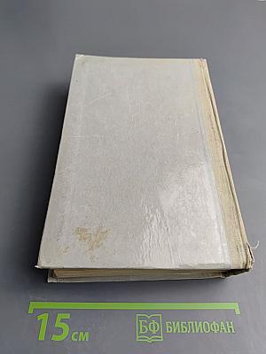 Виконт де Бражелон или Десять лет спустя. Часть I