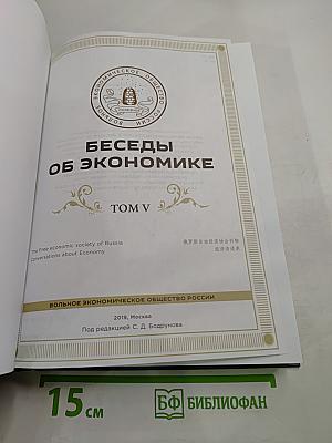 Беседы об экономике. Том V