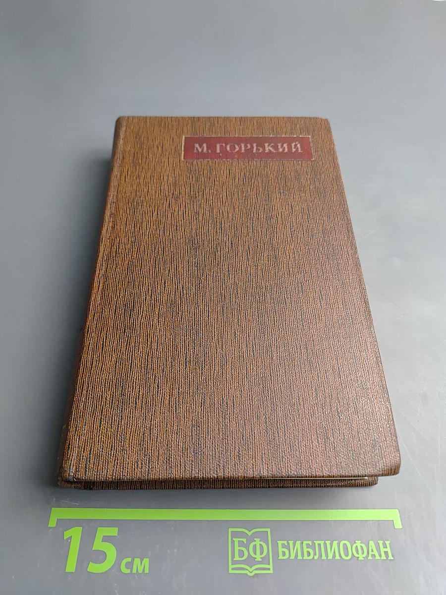 Собрание сочинений. Том двадцать пятый: Жизнь Клима Самгина (Сорок лет). 1925-1936