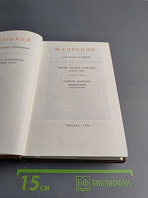 Собрание сочинений. Том двадцать пятый: Жизнь Клима Самгина (Сорок лет). 1925-1936