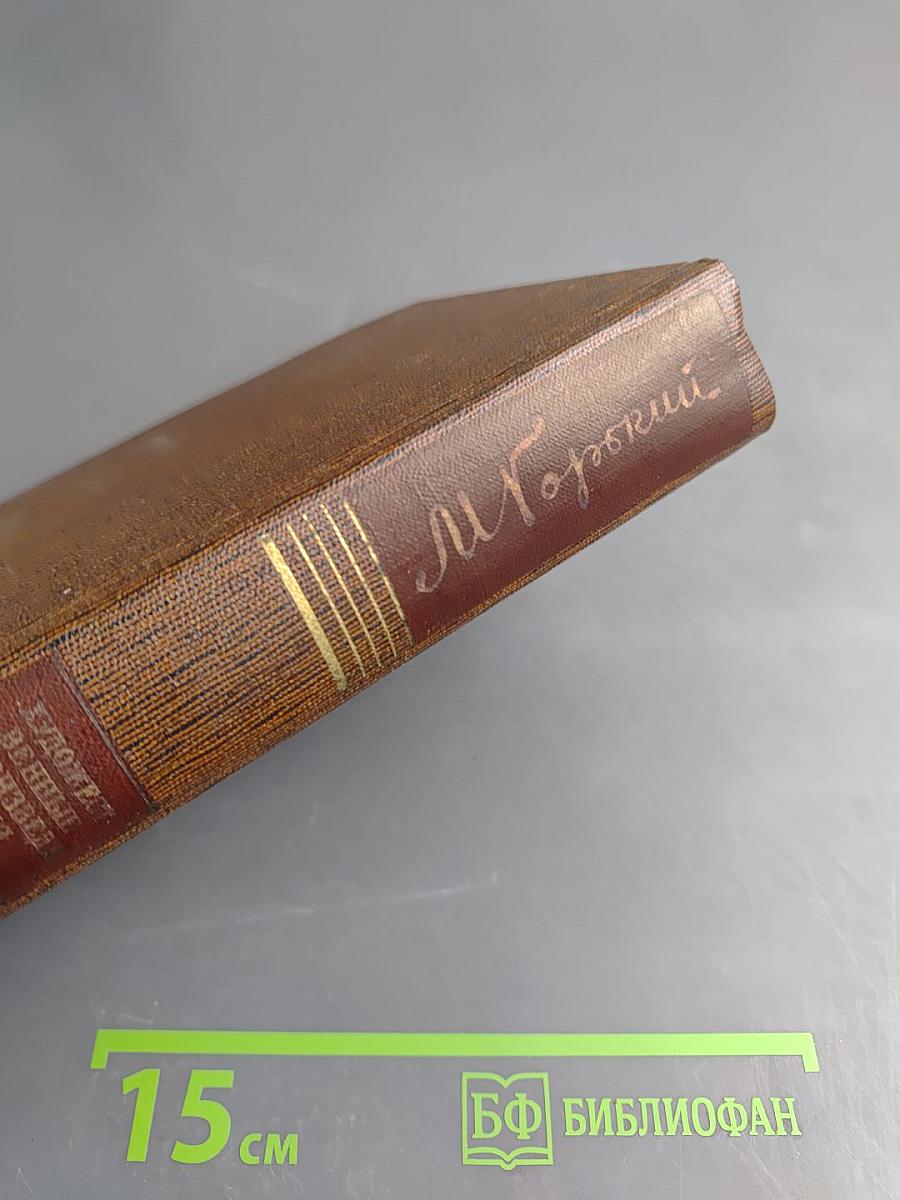 Собрание сочинений. Том двадцать пятый: Жизнь Клима Самгина (Сорок лет). 1925-1936