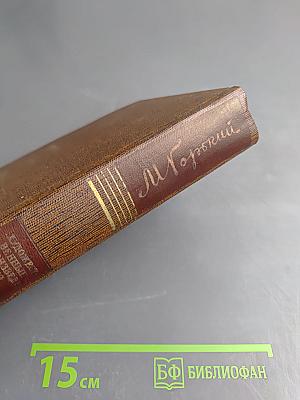 Собрание сочинений. Том двадцать пятый: Жизнь Клима Самгина (Сорок лет). 1925-1936