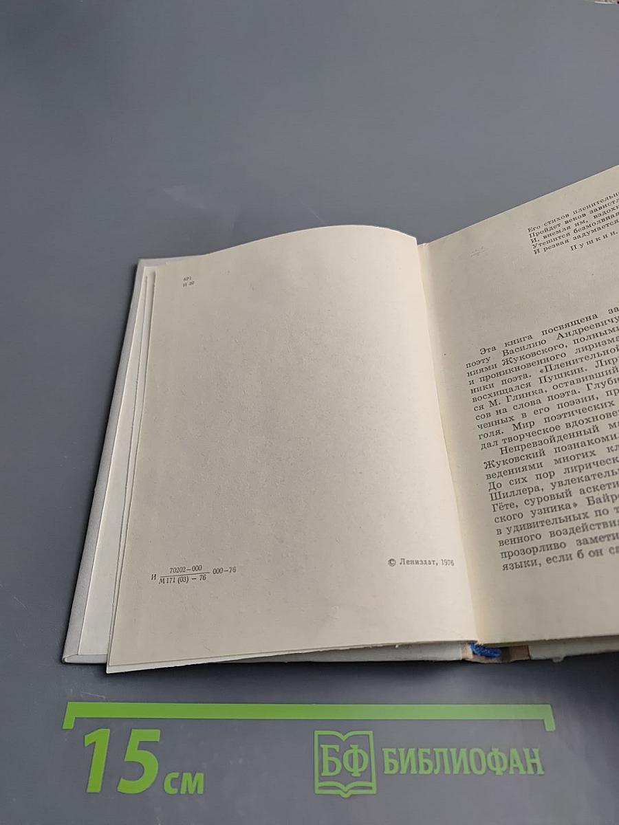 Жуковский в Петербурге