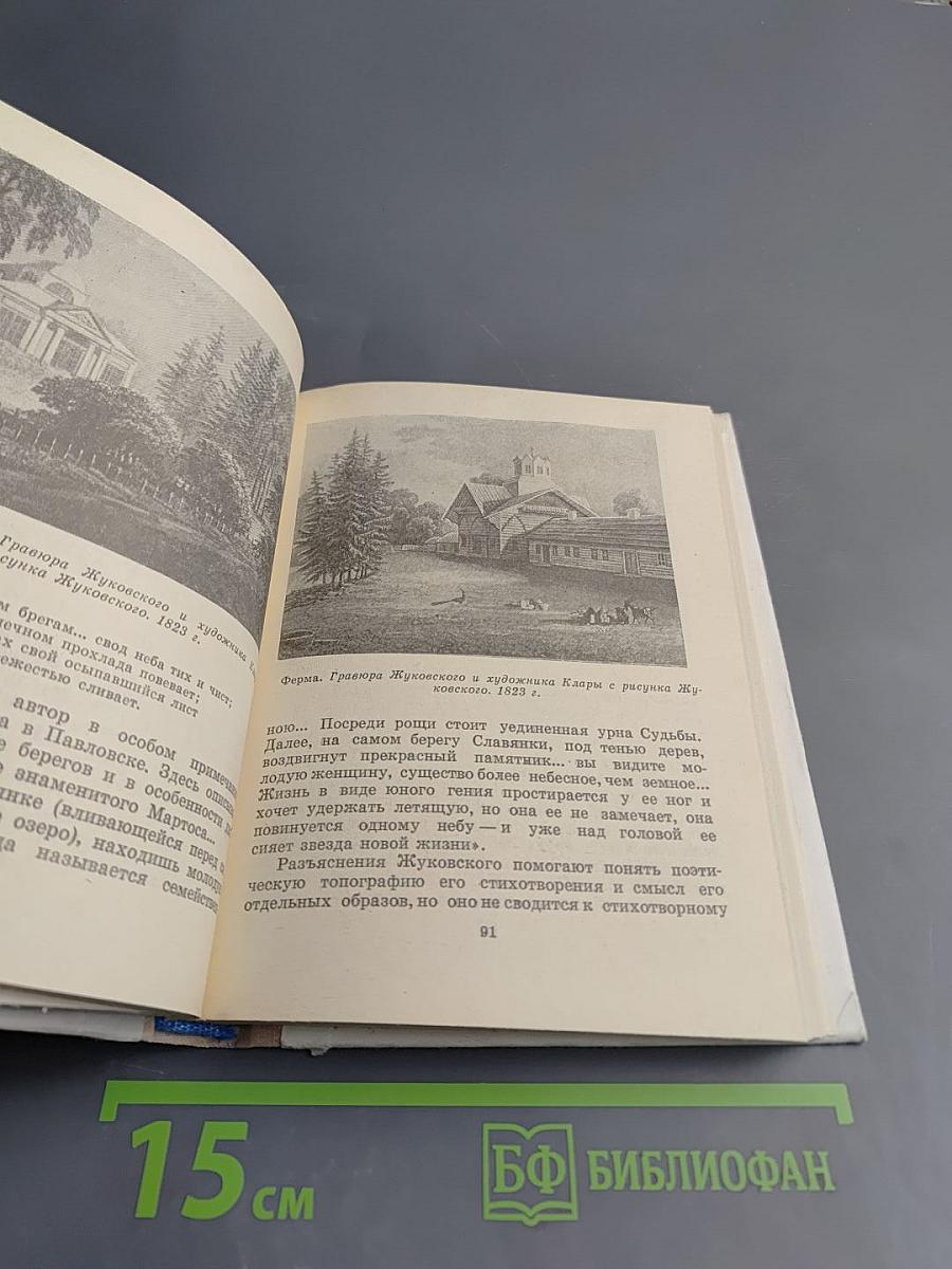 Жуковский в Петербурге