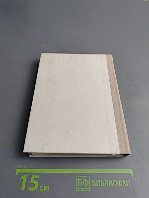 Жуковский в Петербурге