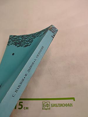 Неуловимый прайд. Благополучная планета. Тем временем где-то...