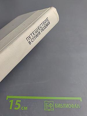 Путешествие в страну Поэзия. Книга 2