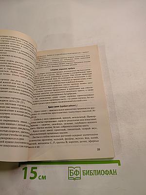 Дача. Энциклопедия дачной жизни. Зелень