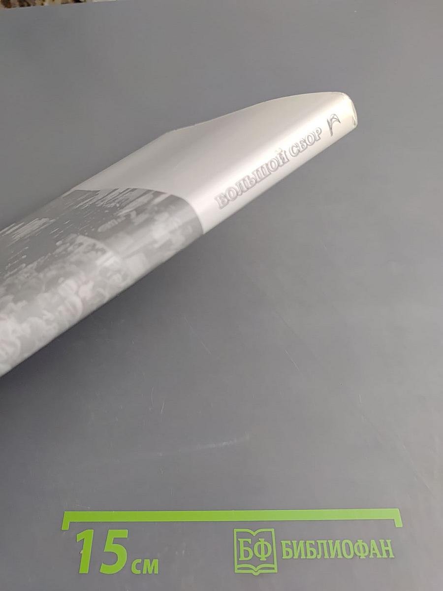 Большой сбор. Народное движение "300 лет Российскому Флоту"