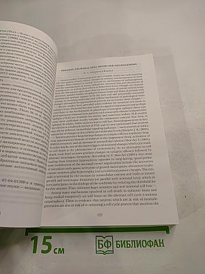 Эпилептология в медицине XXI века