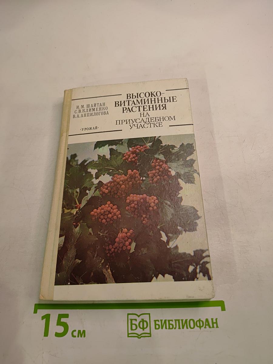 Высоковитаминные растения на приусадебном участке