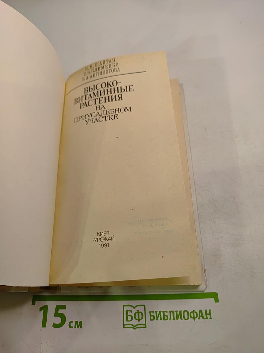 Высоковитаминные растения на приусадебном участке