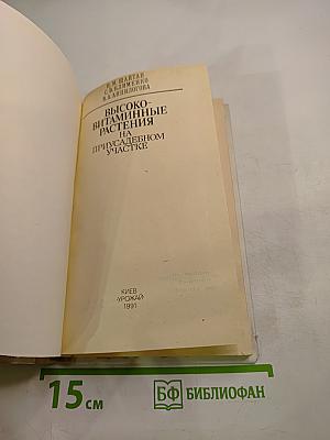 Высоковитаминные растения на приусадебном участке
