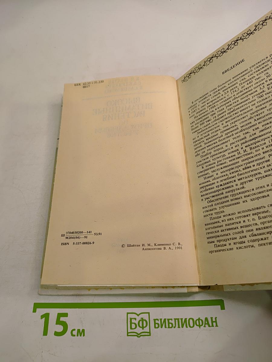 Высоковитаминные растения на приусадебном участке