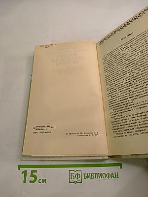Высоковитаминные растения на приусадебном участке