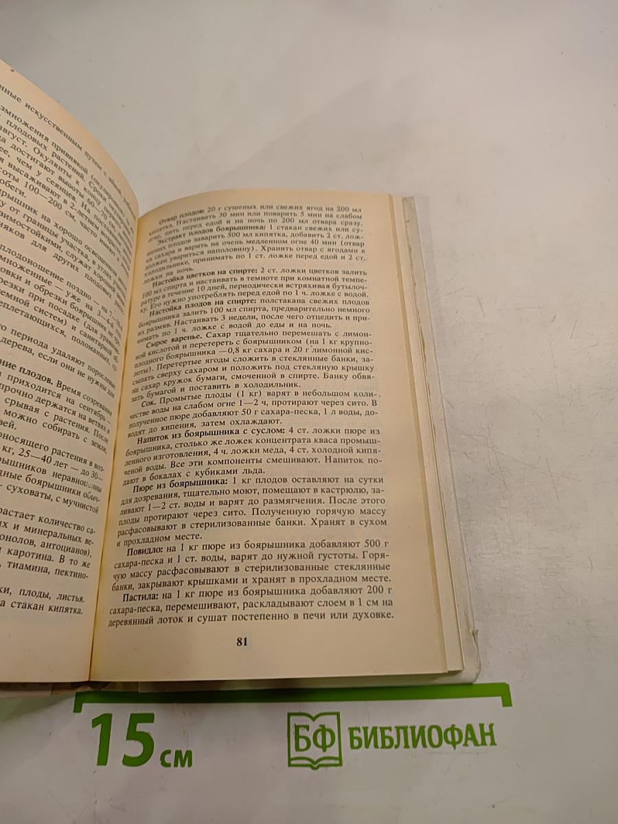 Высоковитаминные растения на приусадебном участке