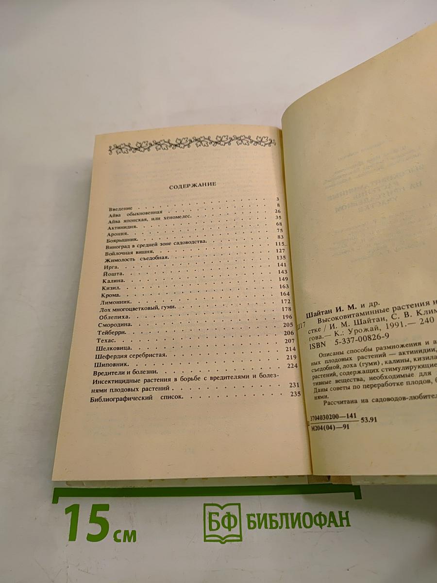 Высоковитаминные растения на приусадебном участке