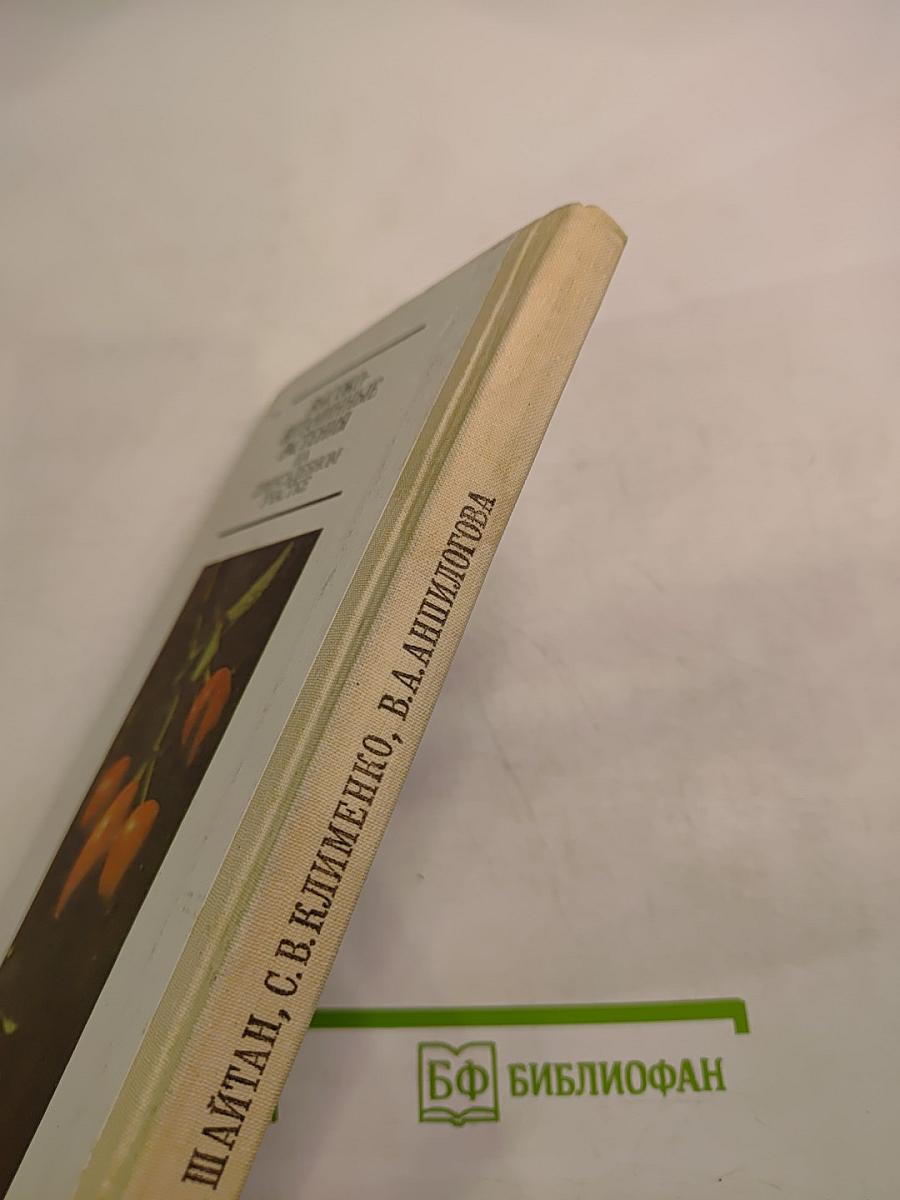 Высоковитаминные растения на приусадебном участке