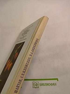 Высоковитаминные растения на приусадебном участке