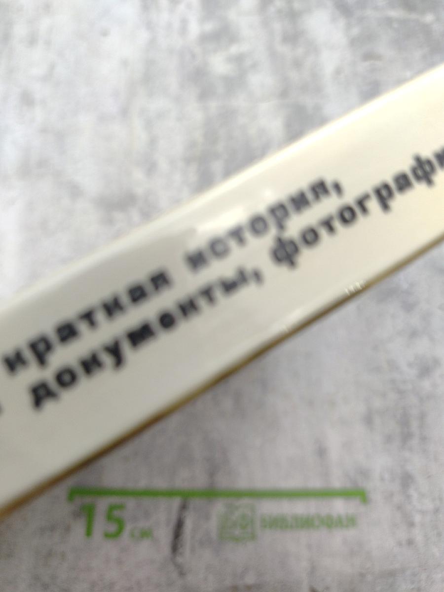 1917. Великий Октябрь: краткая история, документы, фотографии