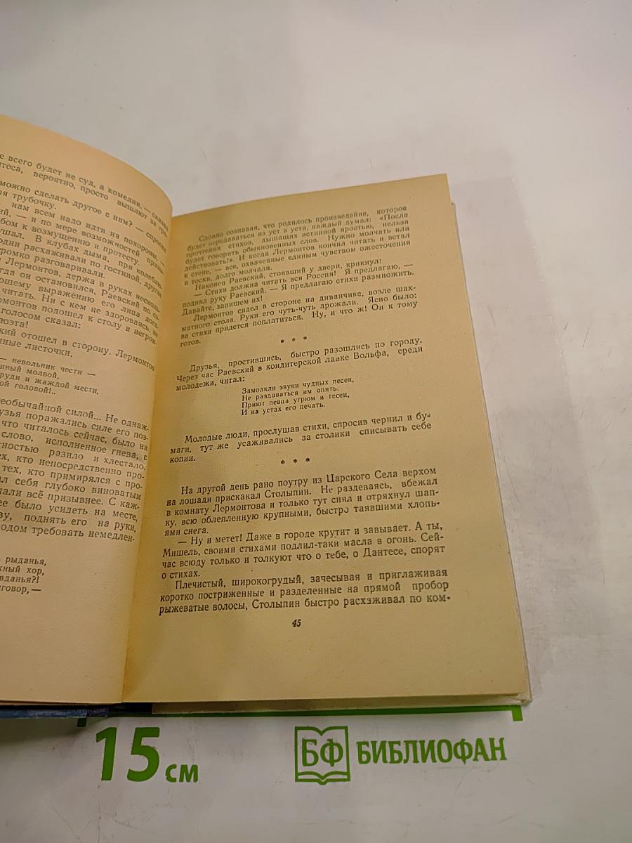 День из жизни писателя