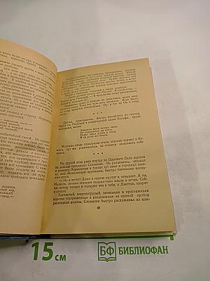 День из жизни писателя