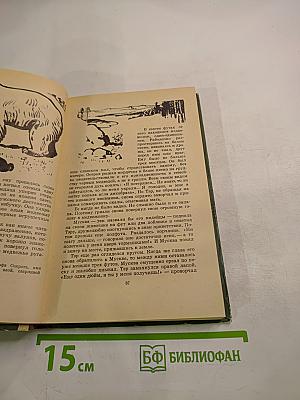 Гризли. Казан